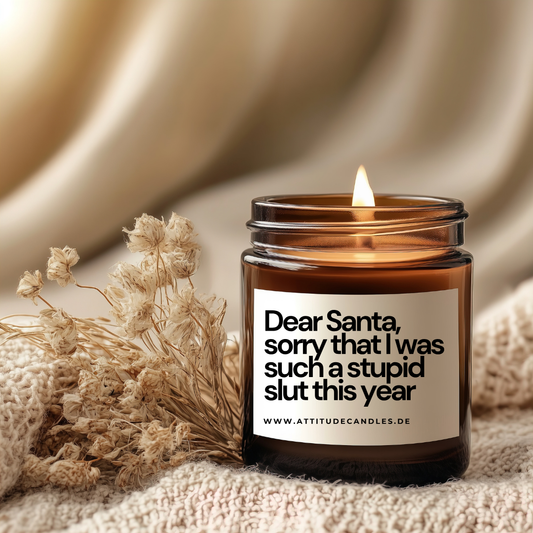 Dear Santa, sorry that I was such a stupid slut this year